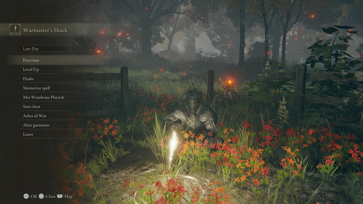 Video Game Analysis: "Elden Ring"