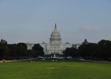 The lawn of National Mall with US Capitol in the background. The lawn was gated and closed during the US government shutdown of 2013.