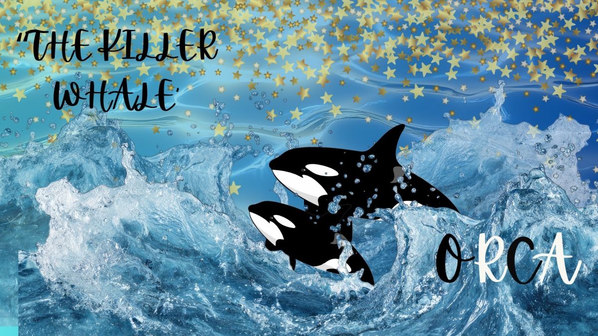 "The Killer Whale"