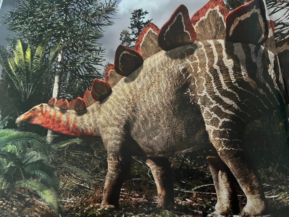 Illustrated art of a Stegosaurus by Julius Csotonyi 