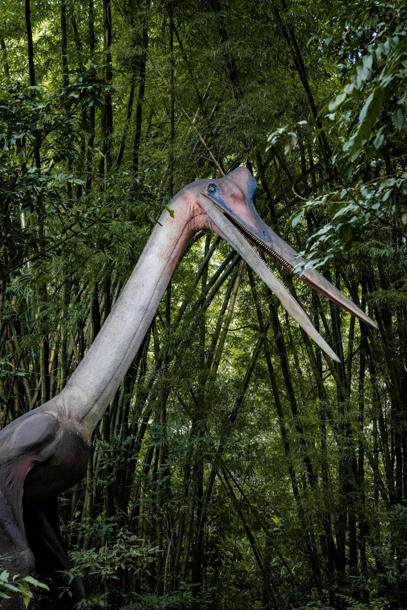 A Quetzalcoatlus looking right into the camera.
