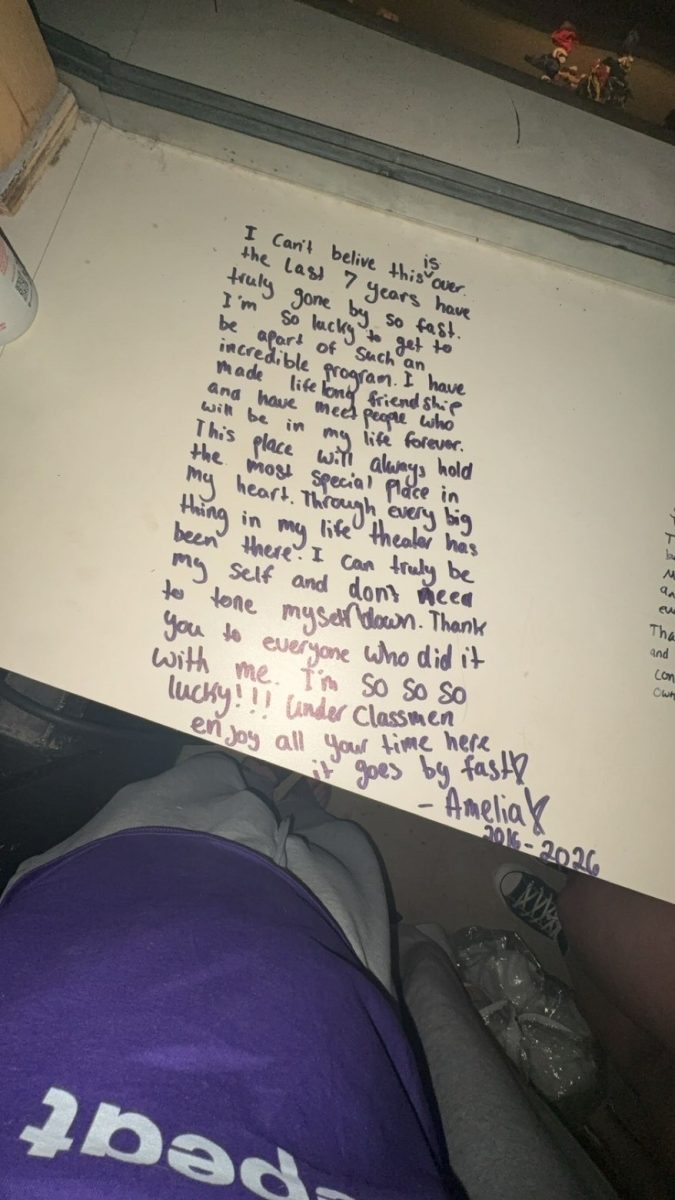 Amelia Jones's writing